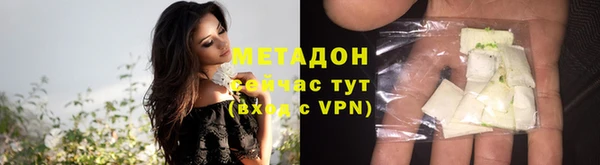 индика Аркадак