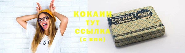 хмурый Арсеньев