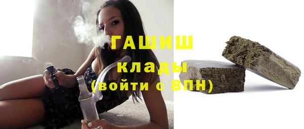 хмурый Арсеньев