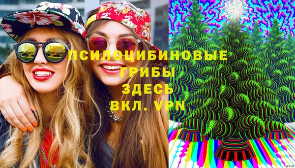 хмурый Арсеньев