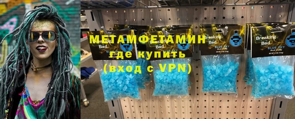 индика Аркадак