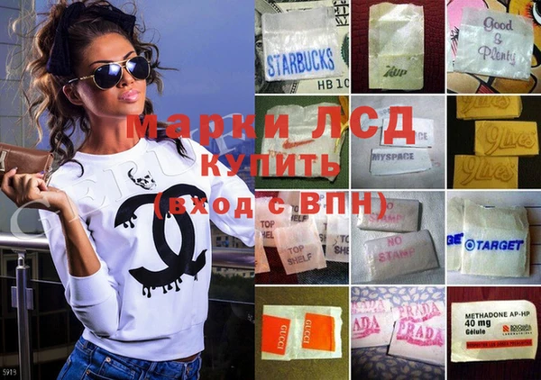 индика Аркадак