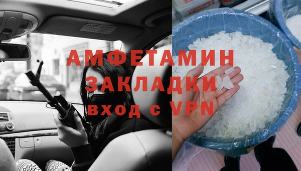 индика Аркадак