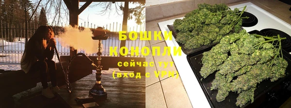индика Аркадак