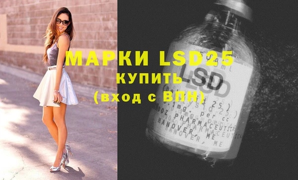 хмурый Арсеньев
