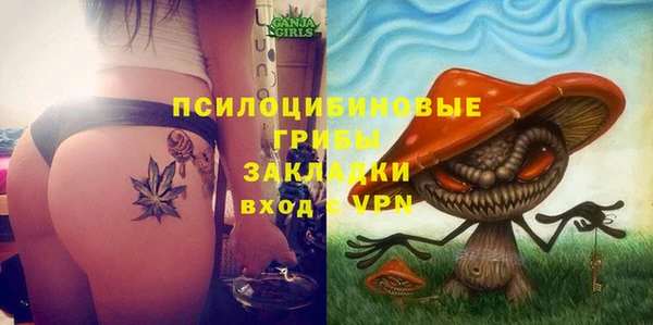 индика Аркадак