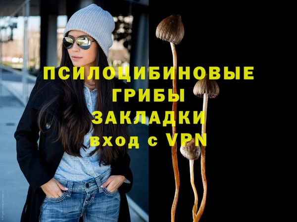 гидра Алексин
