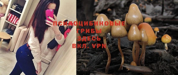 индика Аркадак