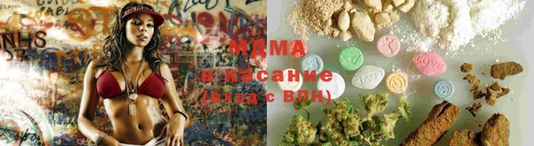 индика Аркадак
